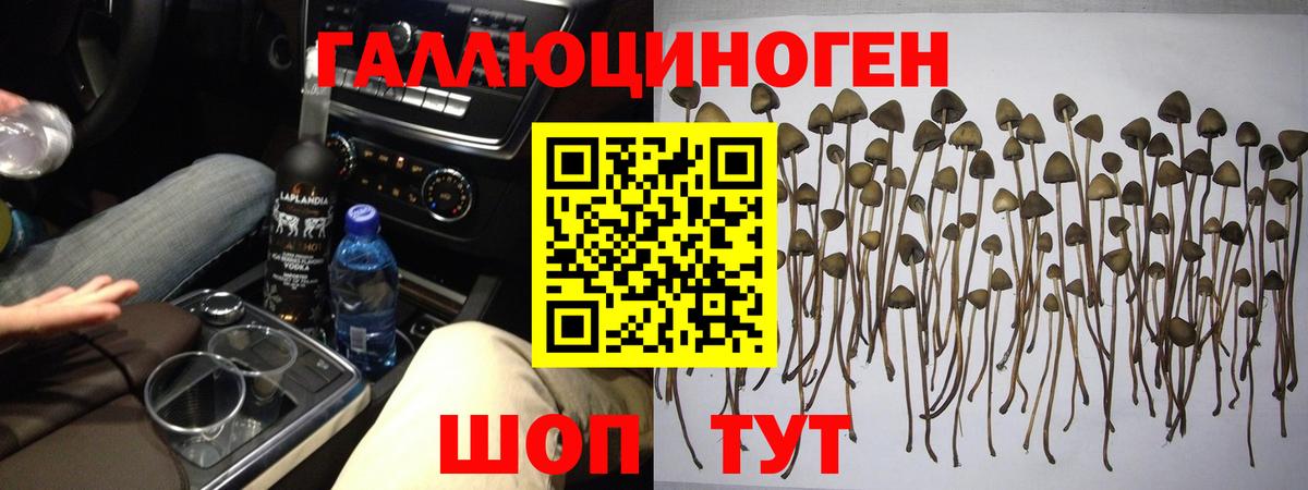 Галлюциногенные грибы Cubensis  Вход с VPN  Псилоцибиновые грибы мухоморы  Майский 